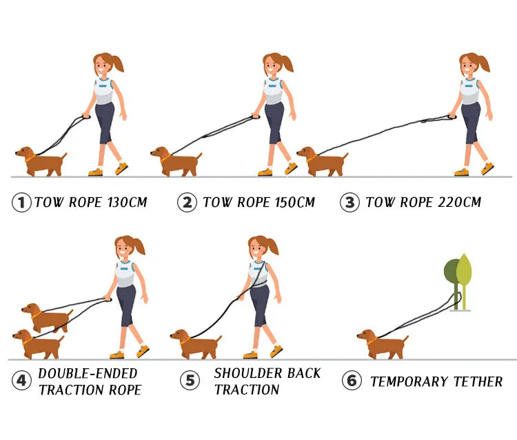 FreedomLeash – Innovative Hands-Free Dog Leash Bowlift