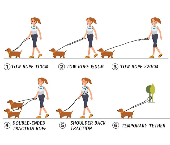 FreedomLeash – Innovative Hands-Free Dog Leash Bowlift