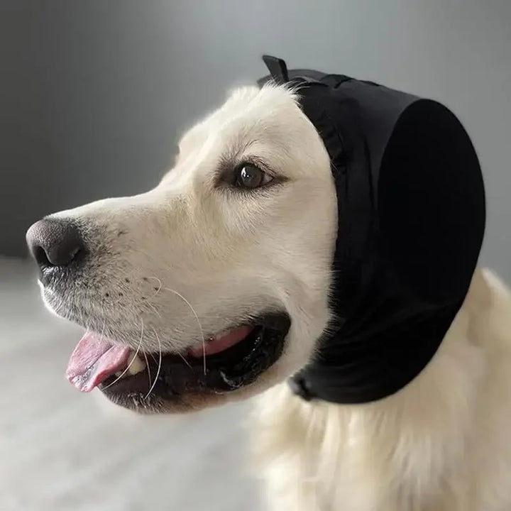 BowLift | Ruis Dog Ear Protectors - Sound-Dampening Ear Protection for Dogs