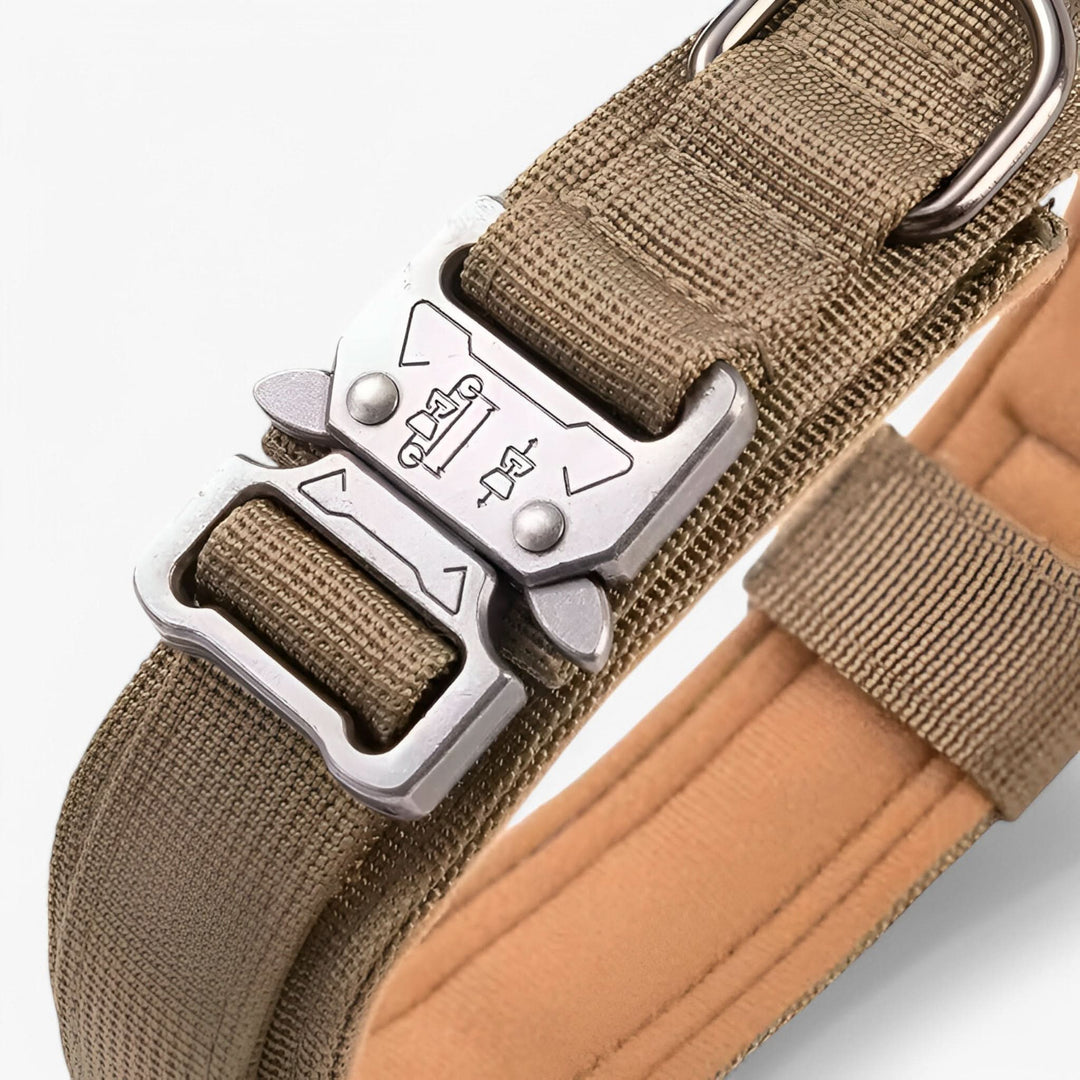BowLift | OutdoorHeld Dog Collar – For active dogs with endurance