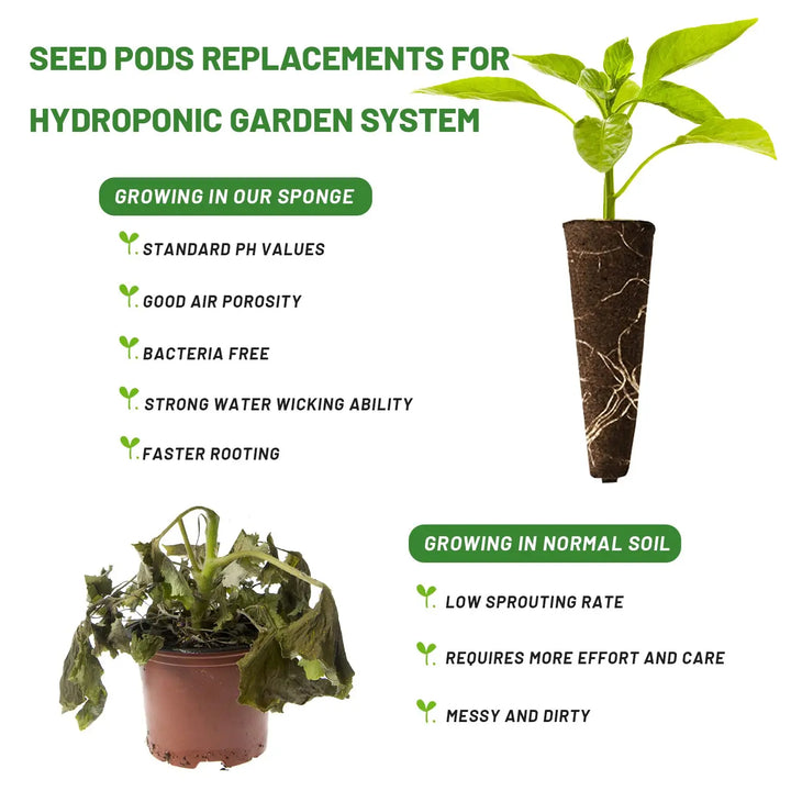 BowLift | WurzelWunder Planting Sponges 50 Pieces | Replacement Growth Sponges for Hydroponics & Soil | For Herbs, Vegetables & Flowers