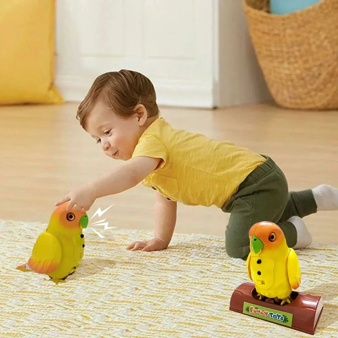 BowLift | Interactive parrot that repeats everything