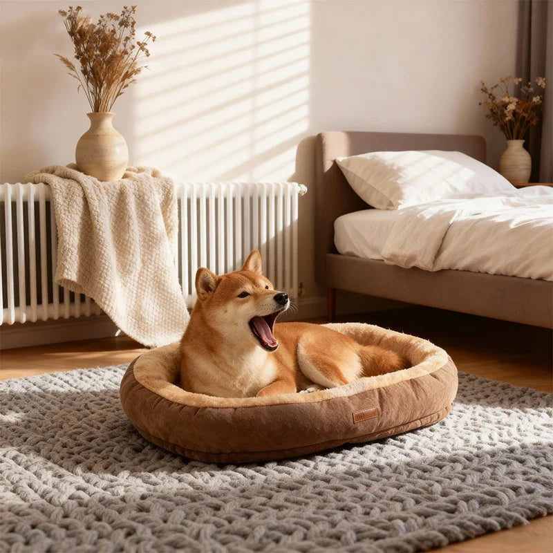 Oval Plush Bed for Dogs & Cats Bowlift