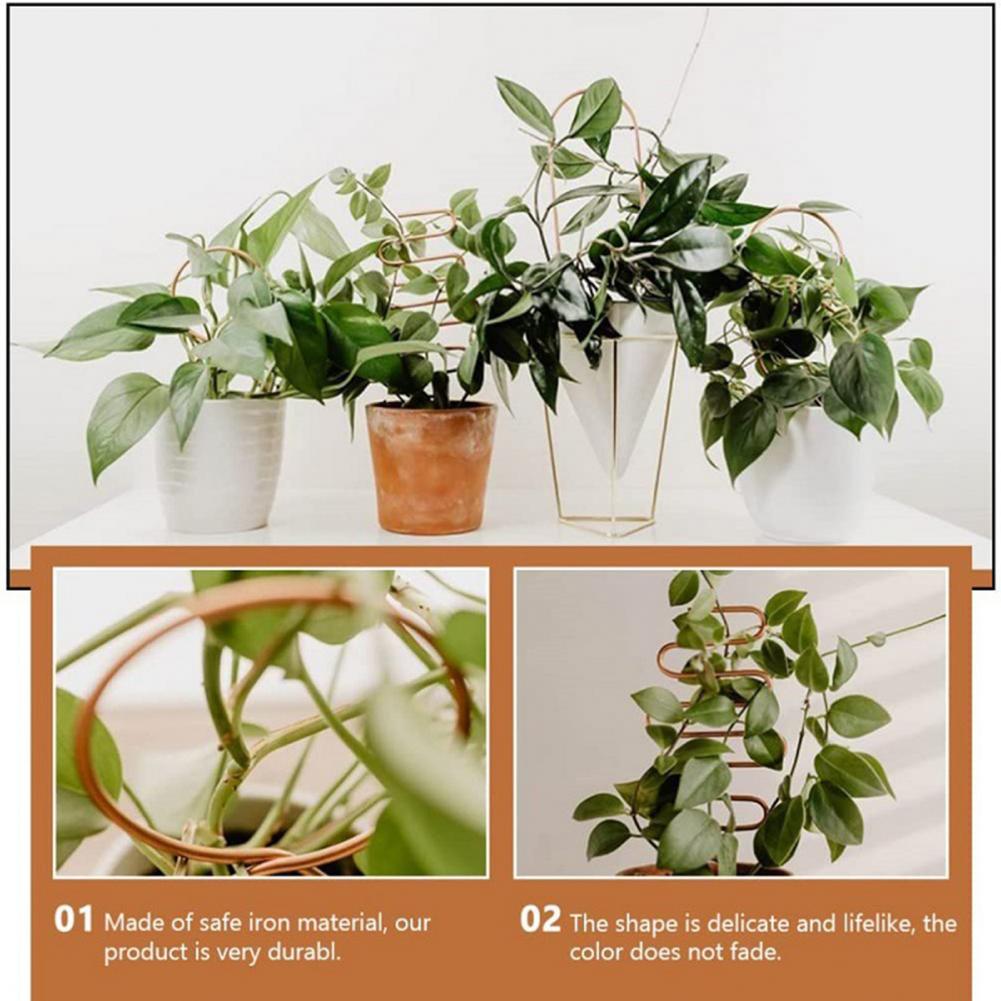 BowLift | Nordic Plant Climbing Rack