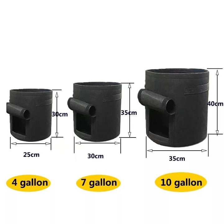 GrowMaster Pots – Stylish Grow Pot for Vegetables Bowlift