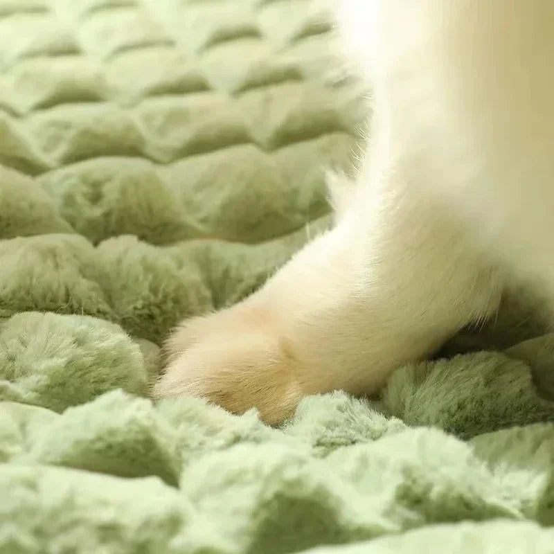 BowLift | PAWSOMNIA Orthopedic Dog Bed | Removable Cover & Washable | Memory Foam | For Dogs & Cats