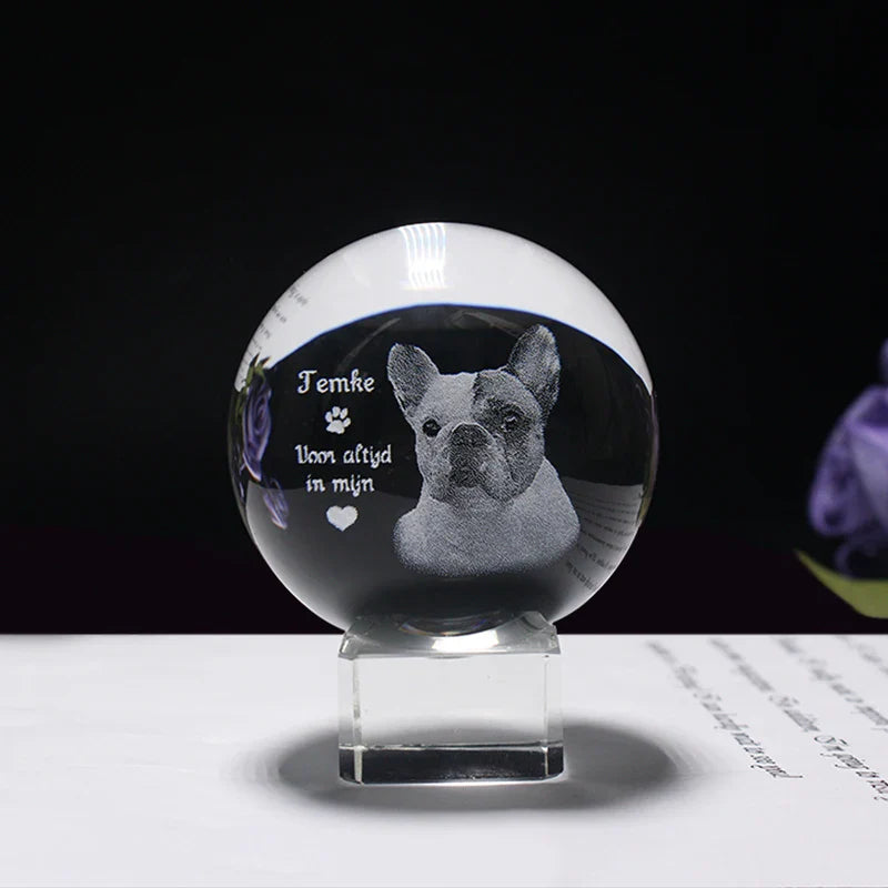 Personalized crystal ball with pet photo & LED base Bowlift