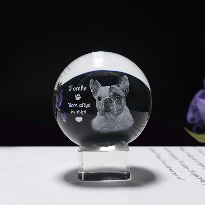 Personalized crystal ball with pet photo & LED base Bowlift