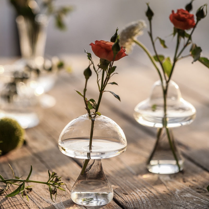 BowLift | Mushroom Inspired Elegant Glass Vase