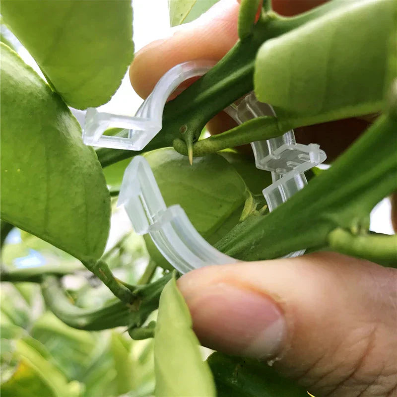 Plastic clamps for plant support | Grafting and fixing tool! | Bowlift