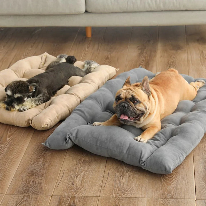 Cozy 3-in-1 bed for pets | Bowlift
