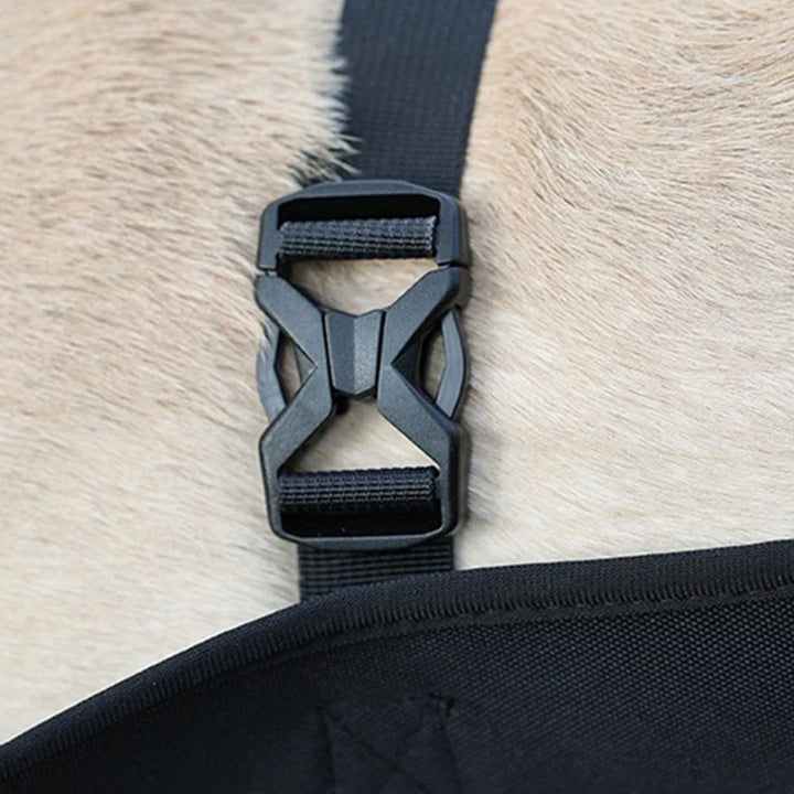Reha-Dog Harness with Stable Carrying Handle Bowlift