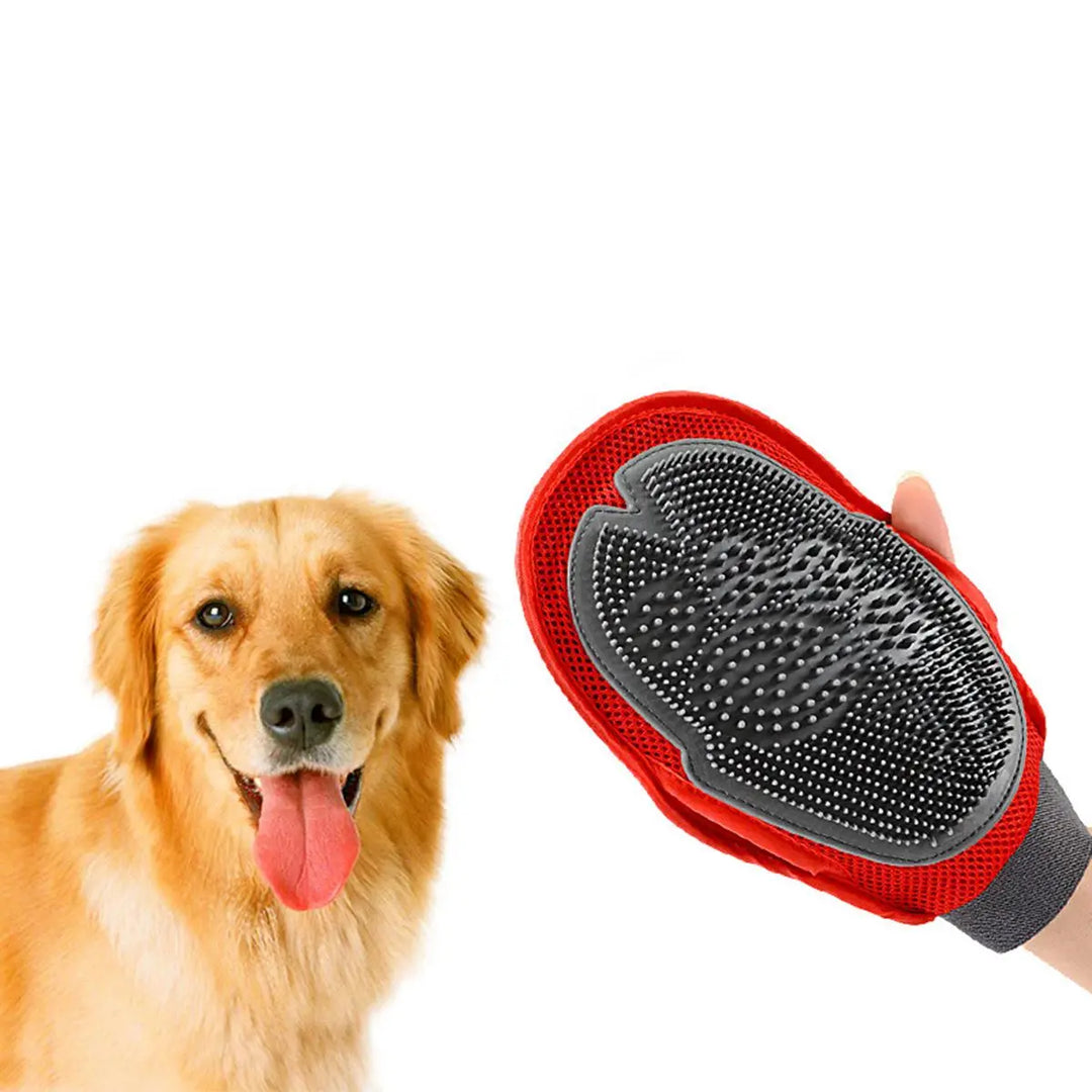 Massage care glove for dogs and cats Bowlift