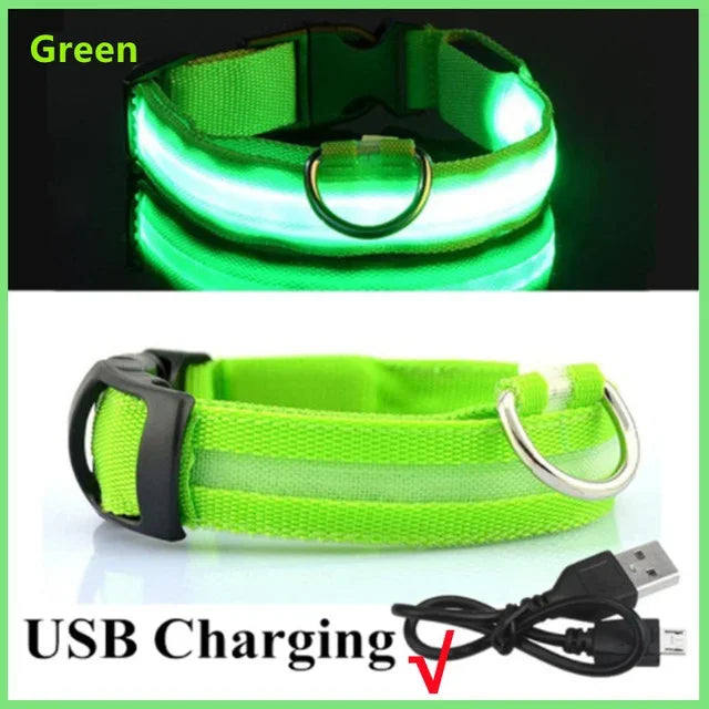 BowLift | LUXPETS GlowSafe LED Dog Collar | Illuminated & Rechargeable | Adjustable & Waterproof | Anti-Loss at Night
