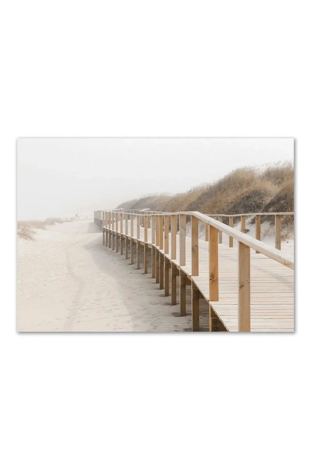 Surf & Travel Canvas Poster | Bowlift