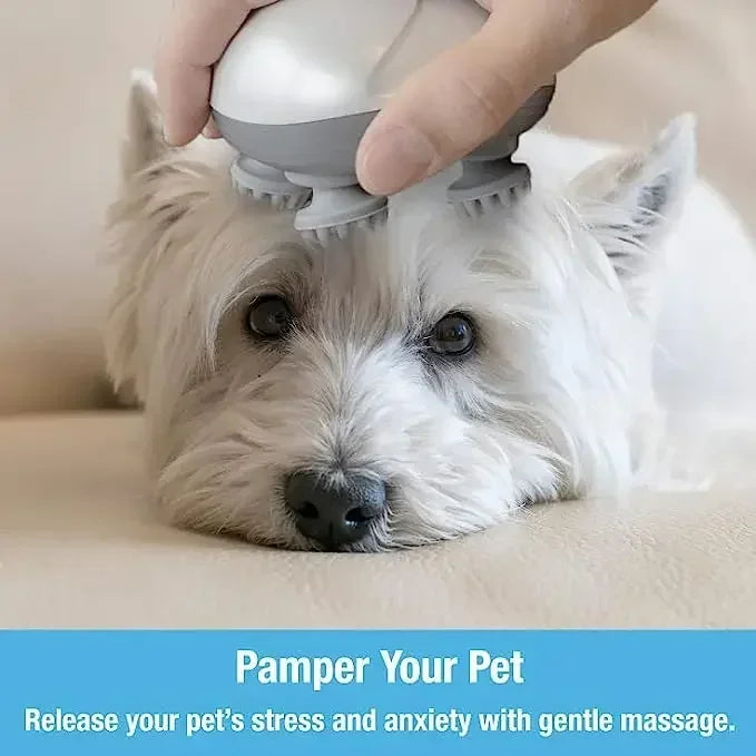 BowLift | Electric Relax Cat Massager