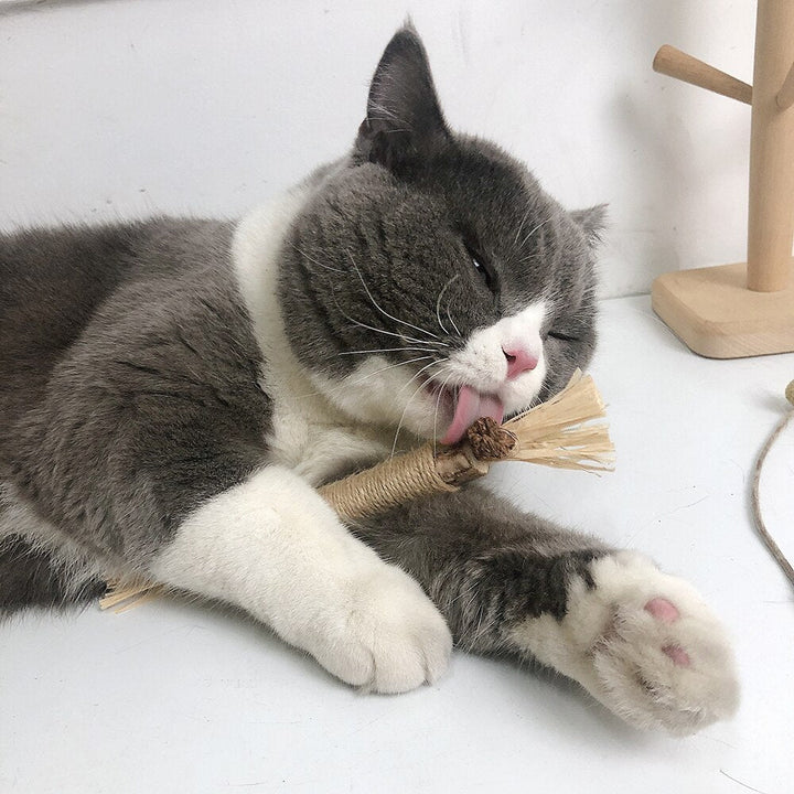 PawBite – Natural Chew Sticks for Cats Bowlift