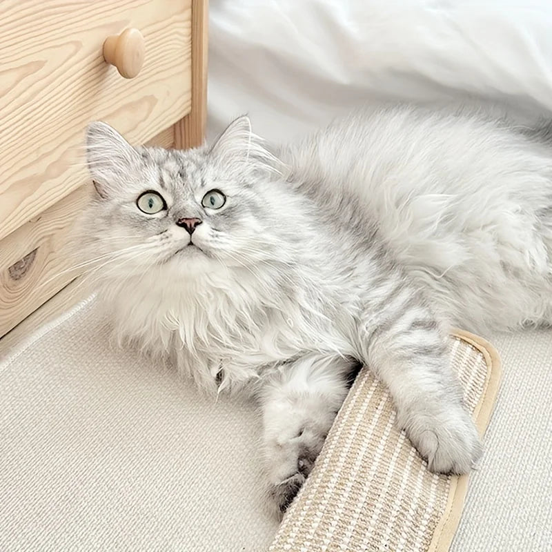 Scratching pillow for cats with catnip durable and sturdy Bowlift
