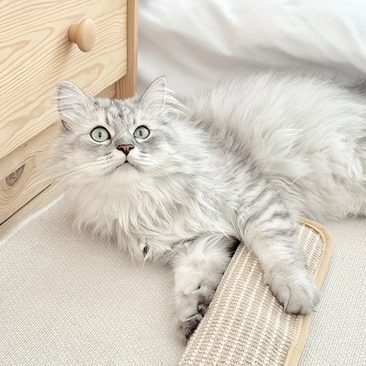 Scratching pillow for cats with catnip durable and sturdy Bowlift
