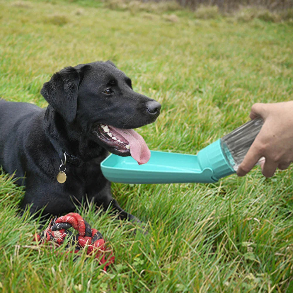 BowLift | Dog Water Bottle Lapuro FoldDrink | Collapsible water dispenser for on the go | 550 ml | For small & large dogs and cats