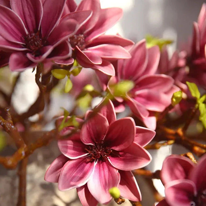 BowLift | Artificial Magnolia Flowers