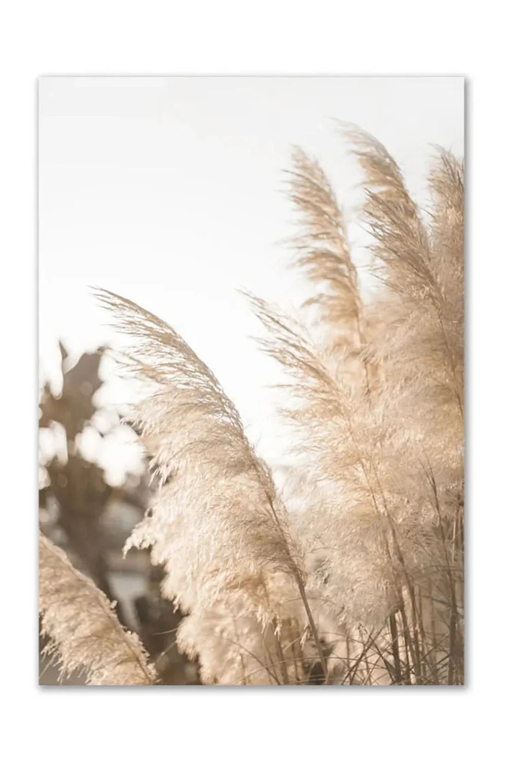 Surf & Travel Canvas Poster | Bowlift