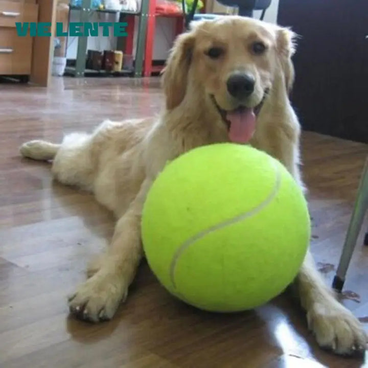 Extra large tennis ball for dogs Bowlift