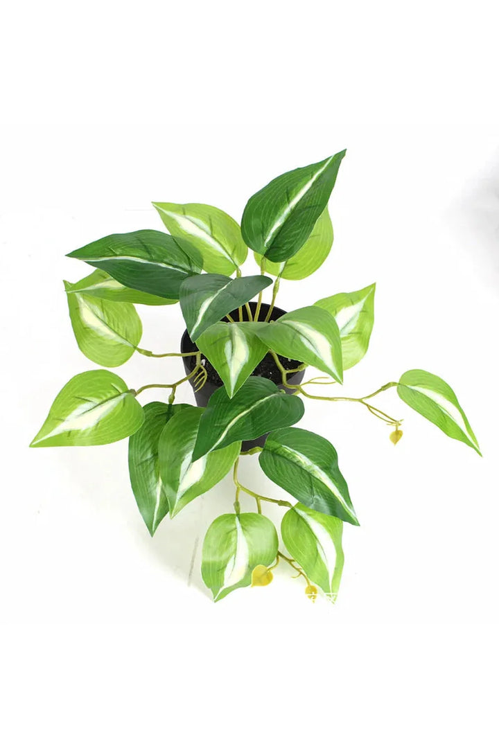 Green Artificial Plants | Bowlift