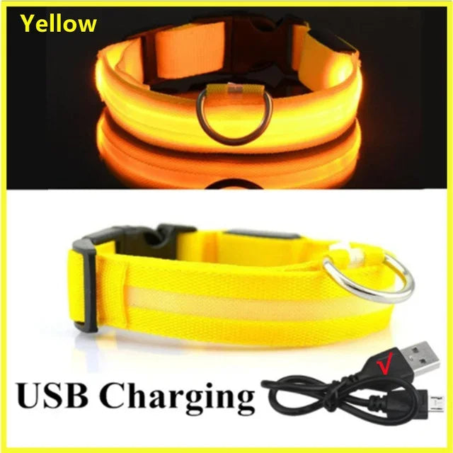 BowLift | LUXPETS GlowSafe LED Dog Collar | Illuminated & Rechargeable | Adjustable & Waterproof | Anti-Loss at Night