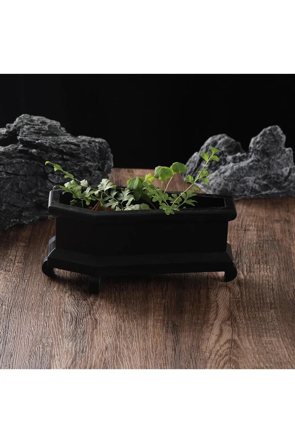 Coffin Plant Pot | Bowlift