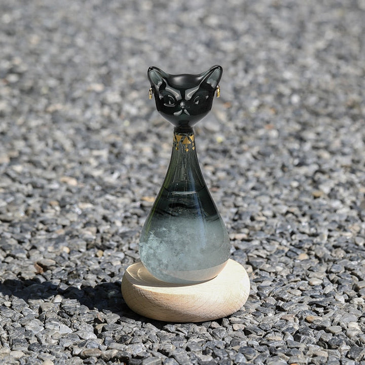 BowLift | Cat-Inspired Weather Forecast Bottle