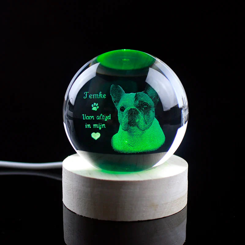 Personalized crystal ball with pet photo & LED base Bowlift
