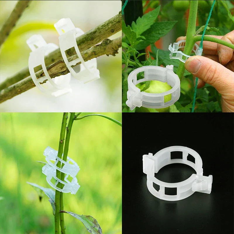 Plastic clamps for plant support | Grafting and fixing tool! | Bowlift