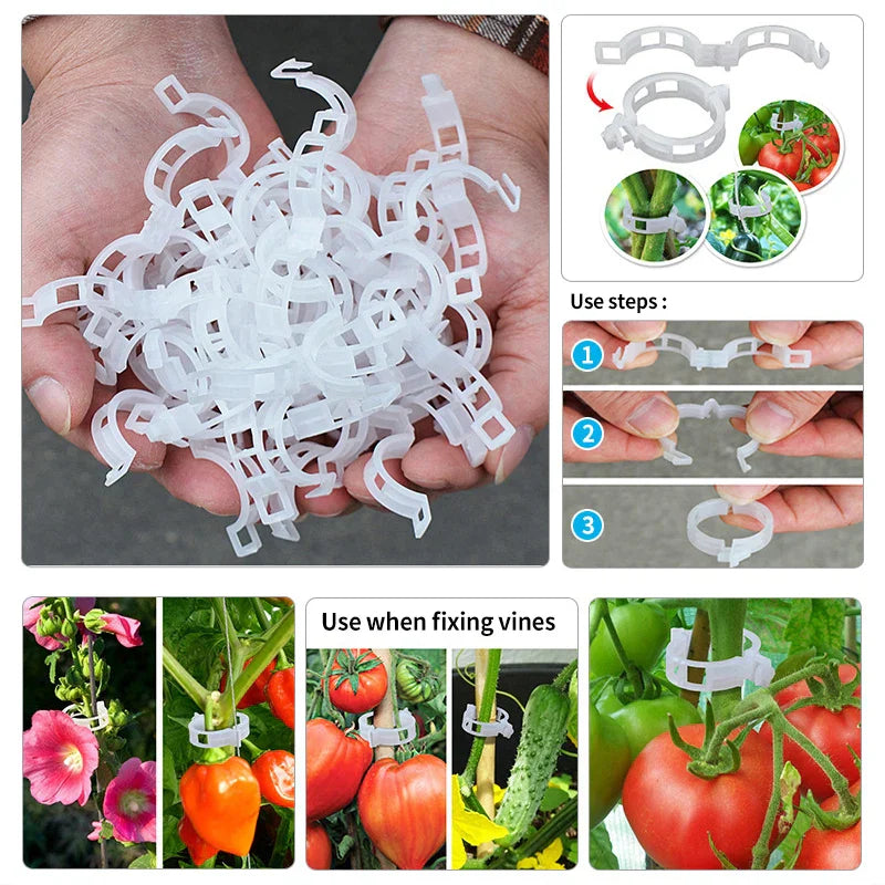 Plastic clamps for plant support | Grafting and fixing tool! | Bowlift