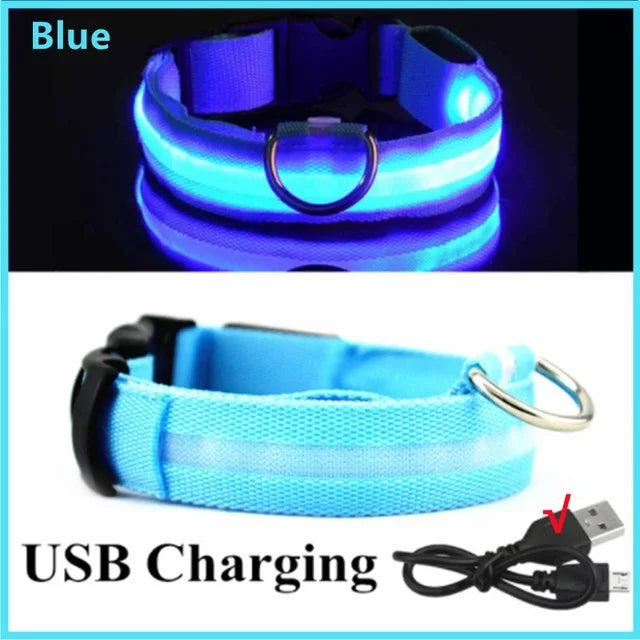 BowLift | LUXPETS GlowSafe LED Dog Collar | Illuminated & Rechargeable | Adjustable & Waterproof | Anti-Loss at Night