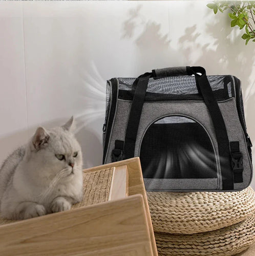 Foldable Pet Carrier for Travel Bowlift