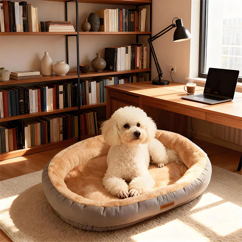 Oval Plush Bed for Dogs & Cats Bowlift