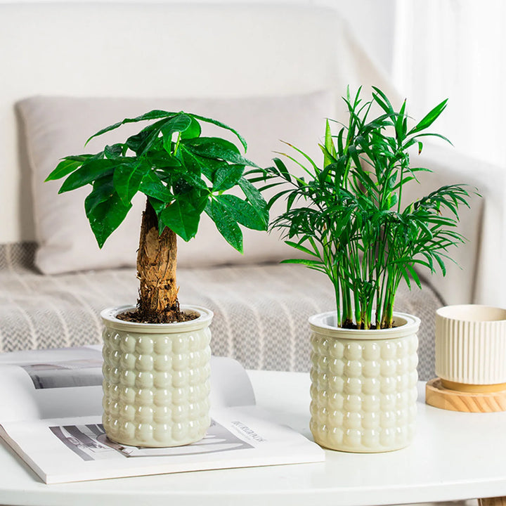 BowLift | Hydropura Flowerpot | Self-watering & Soil-free | Modern & Easy to Care | Set of 3
