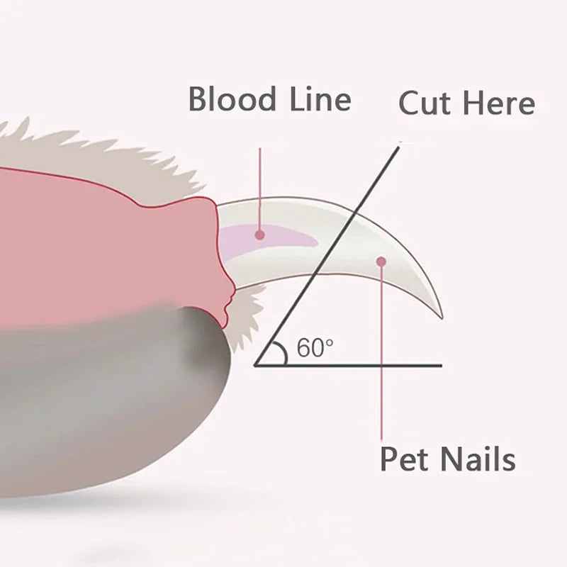 BowLift | LumiPaw Pro | Professional Nail Clipper with LED Light | Safe Cut for Dogs, Cats & Small Animals | Stainless Steel Blades & Non-Slip Handle