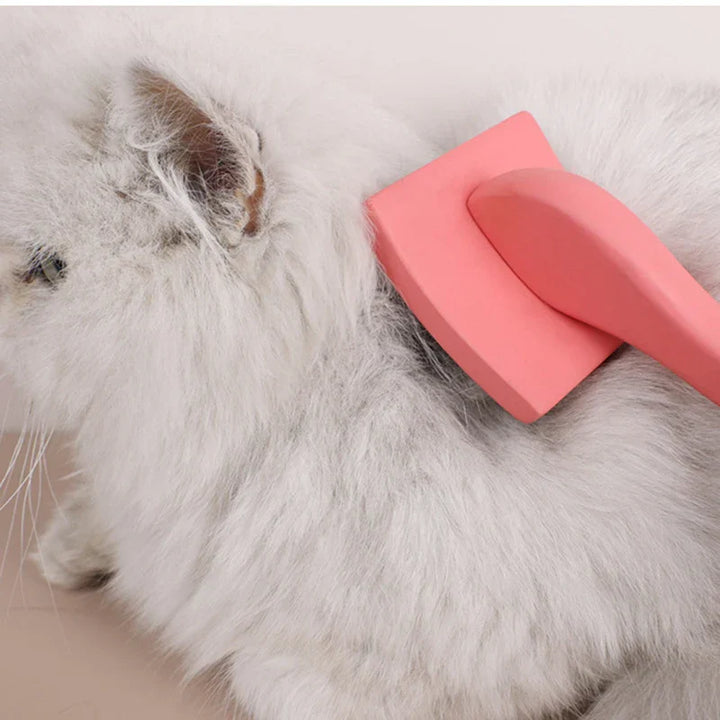 BowLift | Natural Fur Care Brush ProRake | Manual Hair Removal Brush with Wooden Handle | Reusable & Durable | 21×10 cm
