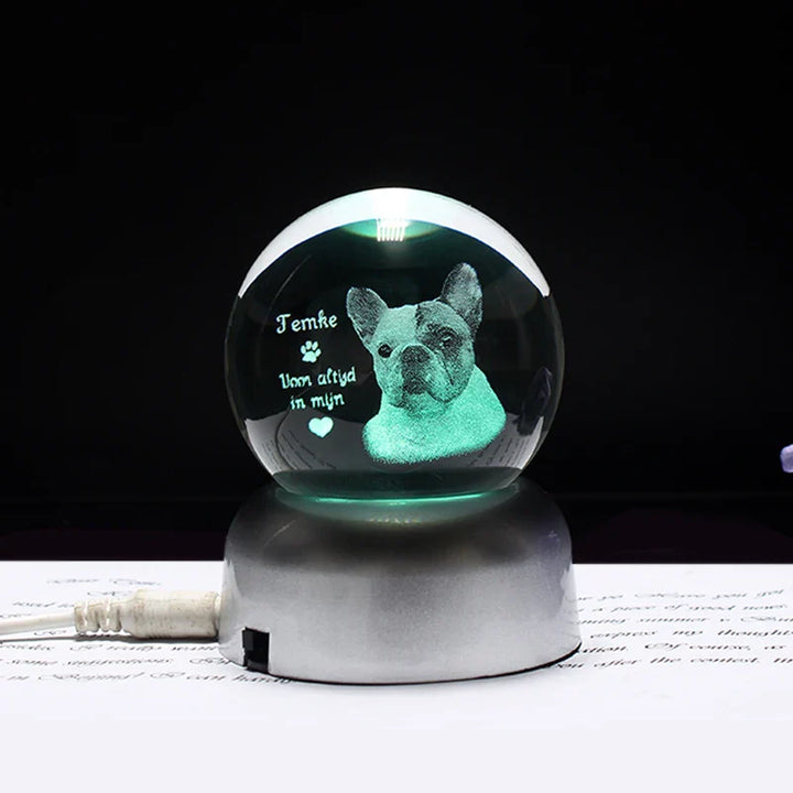 Personalized crystal ball with pet photo & LED base Bowlift