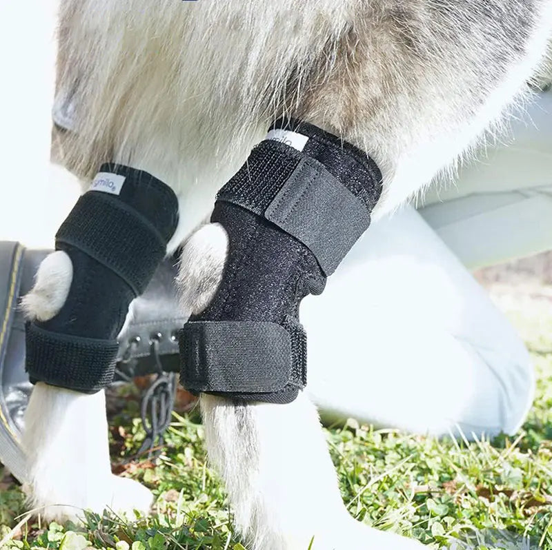 Orthopedic joint brace for dogs stabilizing Bowlift
