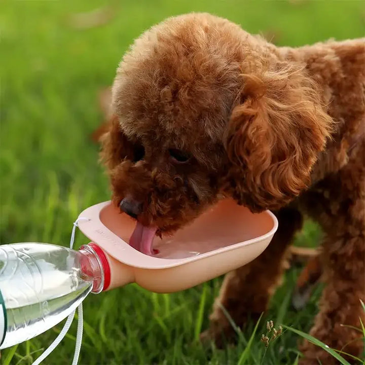 BowLift | AquaPawGo Water Bottle for Dogs & Cats | Suitable for Standard Water Bottles | Portable & Squeezeable | On the Go