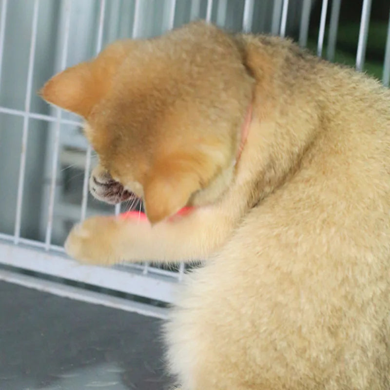 Freesthetic Laser Collar for Cats Bowlift