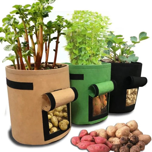 GrowMaster Pots – Stylish Grow Pot for Vegetables Bowlift