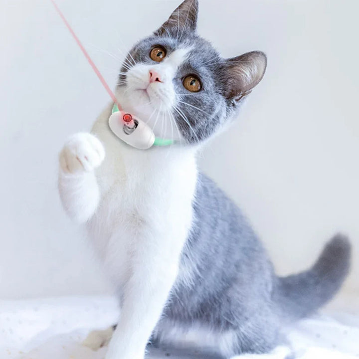 Freesthetic Laser Collar for Cats Bowlift