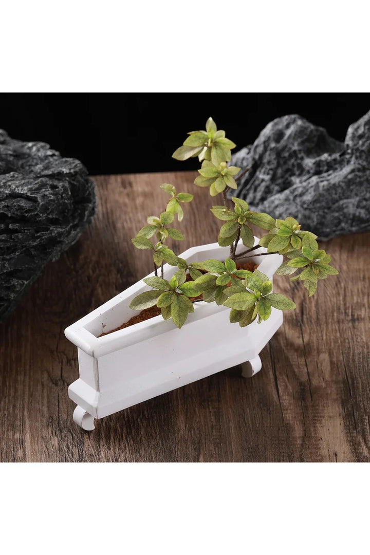 Coffin Plant Pot | Bowlift