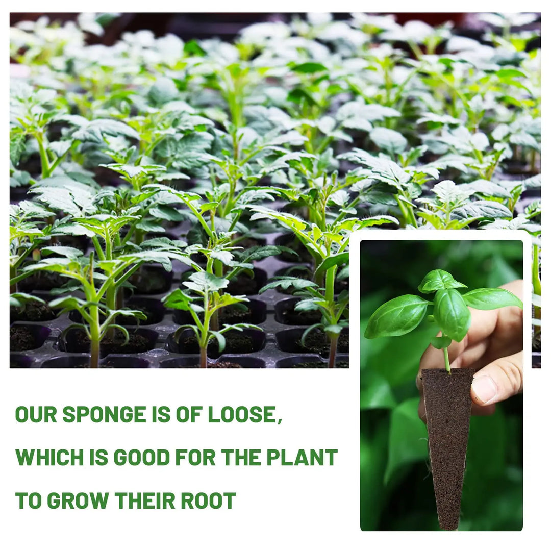 BowLift | WurzelWunder Planting Sponges 50 Pieces | Replacement Growth Sponges for Hydroponics & Soil | For Herbs, Vegetables & Flowers