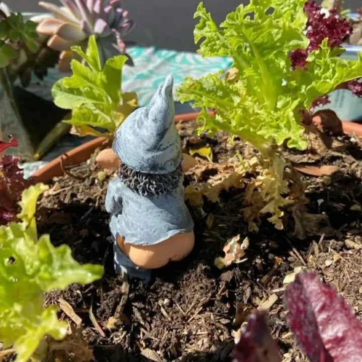 BowLift | Funny Gnome Figurine Made of Resin for Garden and Lawn