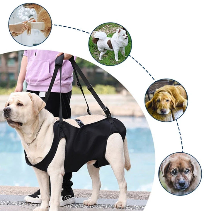 Reha-Dog Harness with Stable Carrying Handle Bowlift